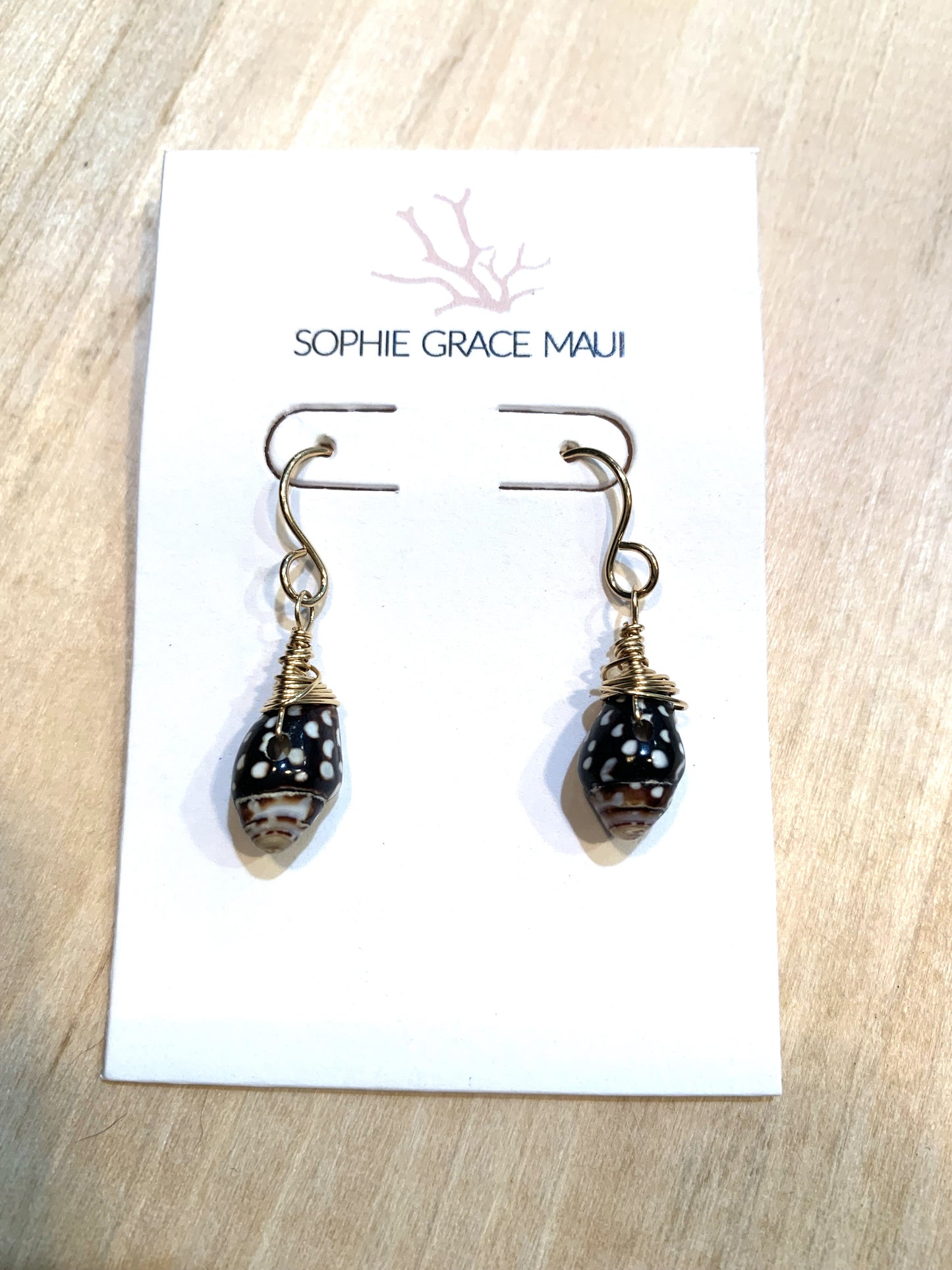 Sophie Grace Maui 14k Shell Earrings