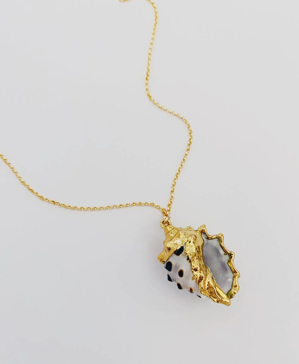 Sophie Grace 24k Drupe Shell Necklace